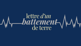 Lettre d'un battement de terre