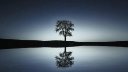 Toutes ces choses ...