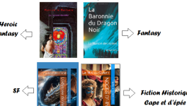 Les Chroniques littéraires de mes romans de fantasy