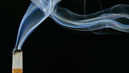 L'amour et les cigarettes