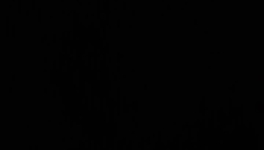 Espèce de fils de pute