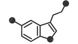 Essere felici è una questione di chimica, letteralmente