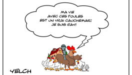 Coq pas gai mais gay