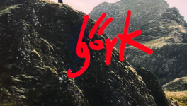 Exposition de Björk à Reykjavik