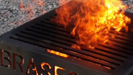 LA PENSÉE DU PRESQUE JOUR