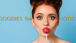 Goodies For Notice, un projet contre-culture numérique