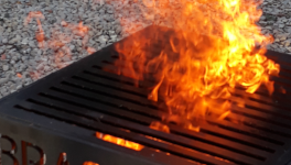 UNE PENSÉE DE JE NE SAIS QUEL JOUR