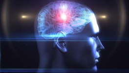 "Un bon mot vaut mieux qu'un mauvais livre"