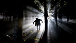 Un conseil : courez !