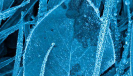 2-La couleur de la peur