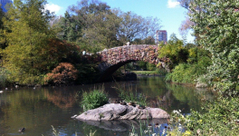 Chapitre 5 : Tant de questions sans réponses