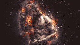 Chapitre 4 : La rage, cette maladie