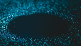 L'ennui est empereur