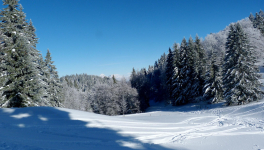 En Abondance, la rareté ! 