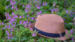 Mémé dans les orties