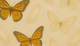 De la nuit à la lumière