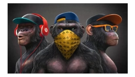 Variole du singe, la vaccination a des butées...