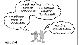 La bêtise insiste