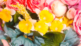 L'inspiration, suite (et non fin)