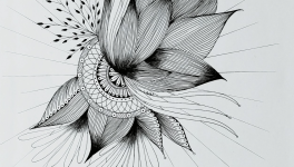 Le rayonnement intérieur