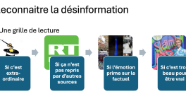 Mes petits trucs pour reconnaitre les fake news