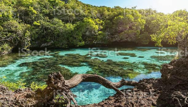 Écrire un texte avec les mots suivants :Galipettes, historien, imaginaire, jouxter, kitsch, lavallière, mordiller, Nouméa.