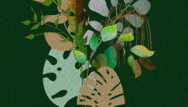 Comment définir ses valeurs ?