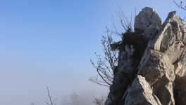 Le Paradoxe des « Dieux de la Montagne » – Sportifs de l'Extrême