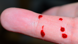 Muki : Piqûre ( LinkTober2025)