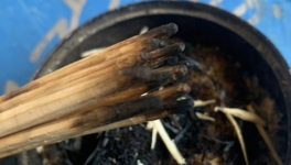 Besoin de comprendre