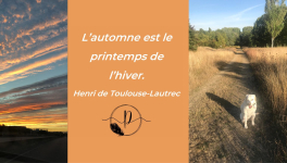 INSPIRATION AUTOMNALE