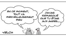 Le rat qui était aux anges