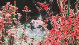 Nostalgie d'une renaissance