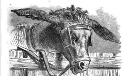 Le jardin du 18 Novembre