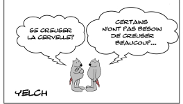 Le rat et la cervelle creuse