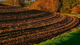 Feuillet d'avril : sillon, outils et semailles