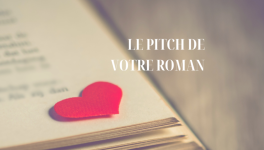Le pitch de votre roman !