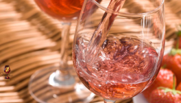 à fleur de vin : Le vin m’a appris