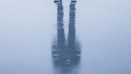 ''Quoi? Cette Voix?"