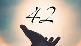 Le sens de la vie - 42