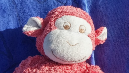 L'Histoire d'Hubert le singe