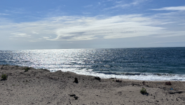 J'écris pour vous...