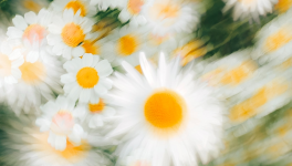 Strumenti di contrasto alle fake news nel periodo del Covid-19