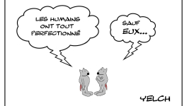 Perfection certainement pas humaine