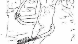 Attention aux serpents…