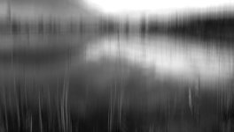 Mini expo photo 12 : Le marais de Lavours