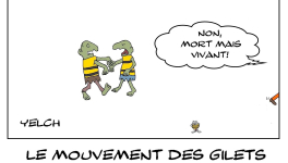 Gilets jaunes morts ou pas ? ou les deux ?