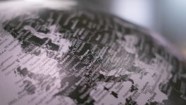 THE WORST CRIME (GUESS !)-20