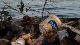 La polluconsommaction