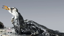 Comment ça va ta mer ?